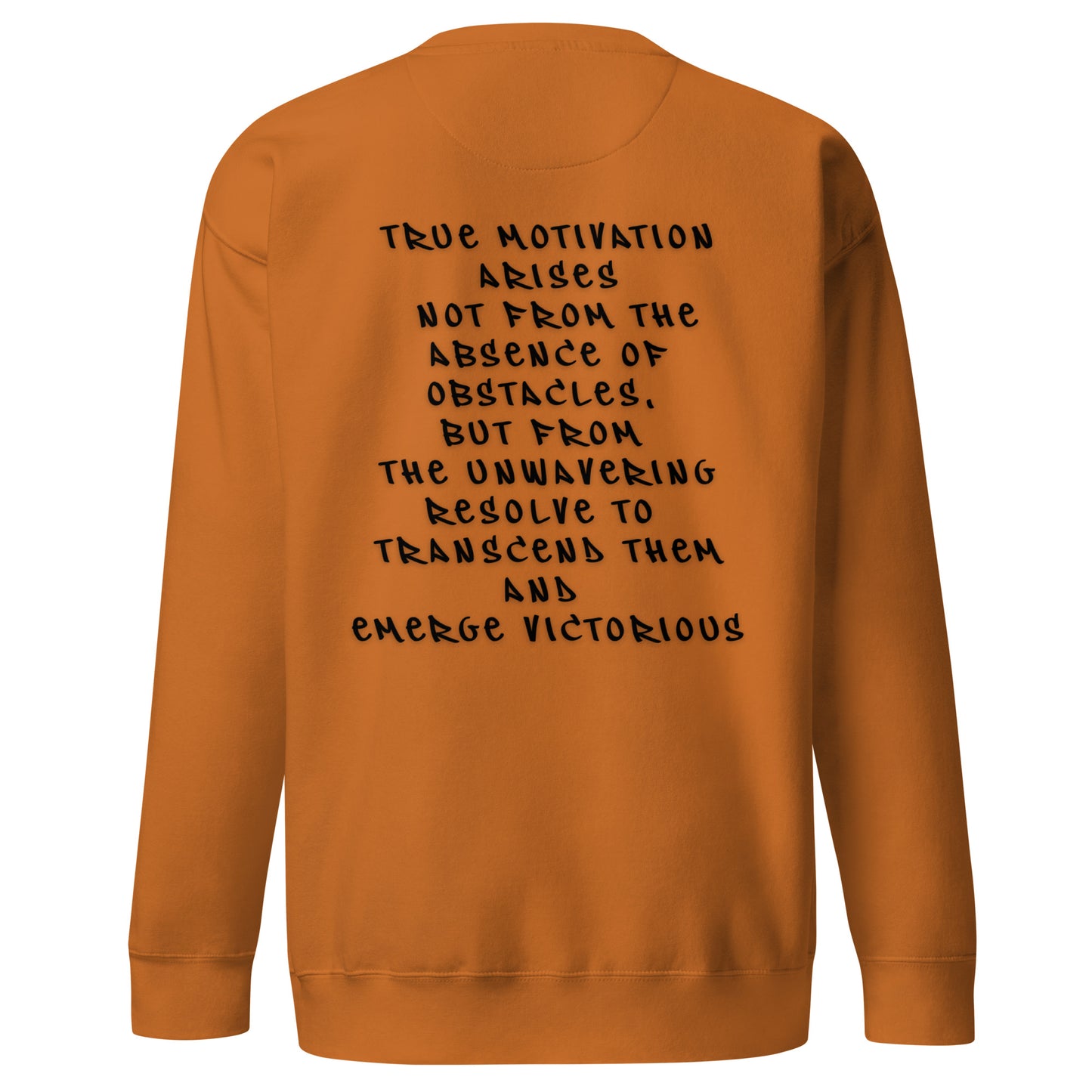 P.T.L.B Motivation Stylish Sweatshirt