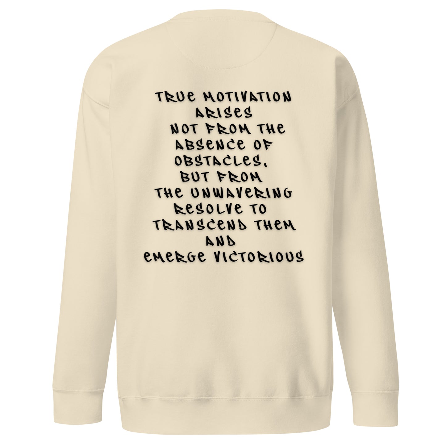 P.T.L.B Motivation Stylish Sweatshirt