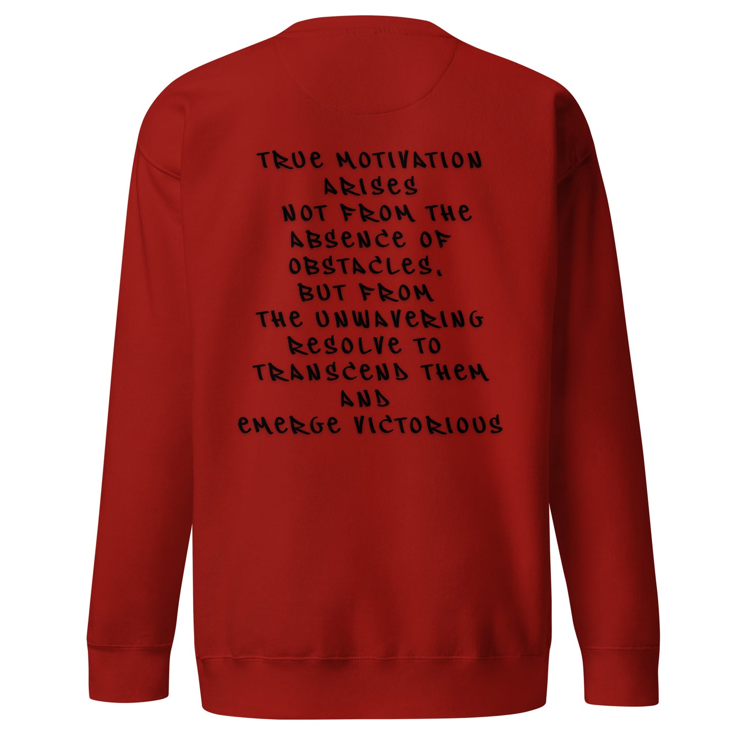 P.T.L.B Motivation Stylish Sweatshirt