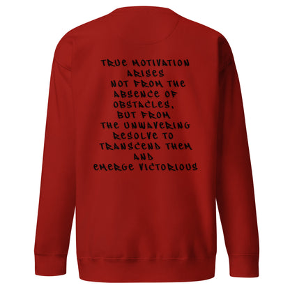 P.T.L.B Motivation Stylish Sweatshirt