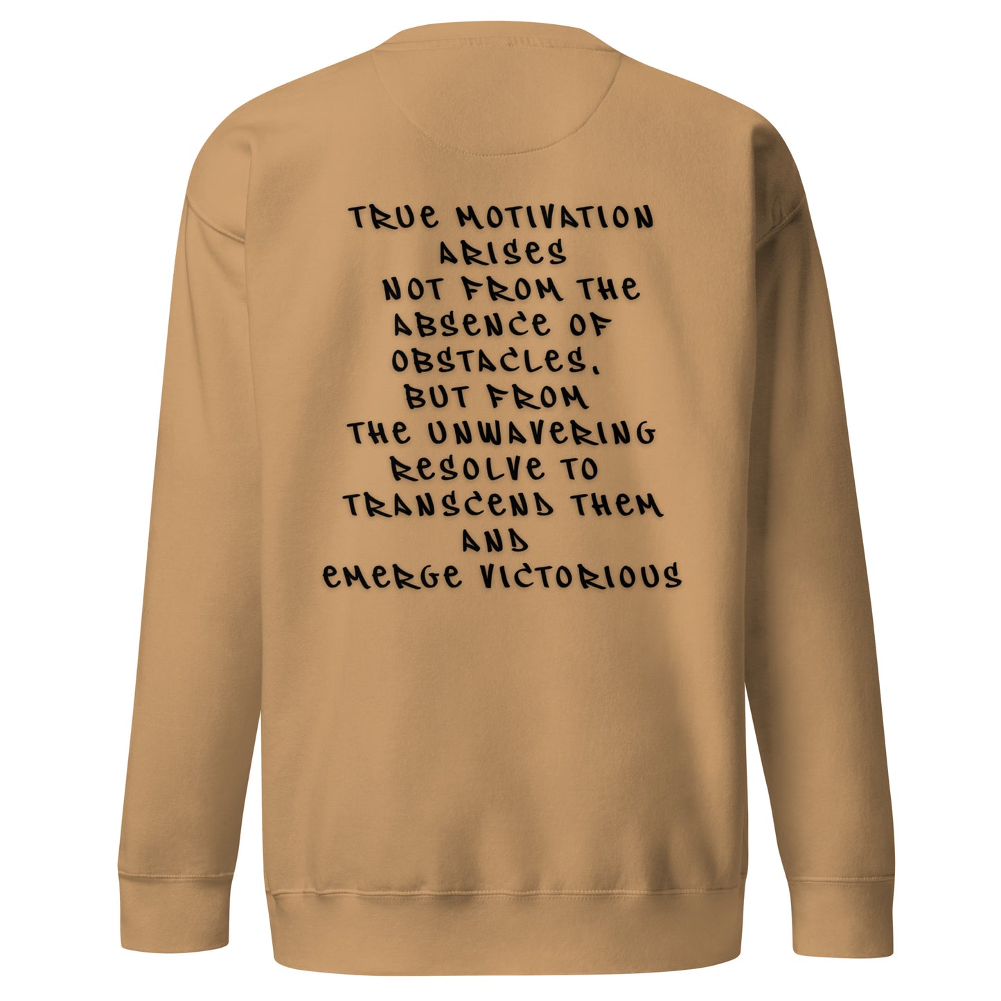 P.T.L.B Motivation Stylish Sweatshirt