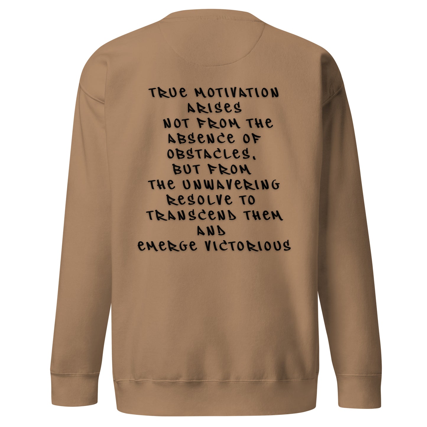 P.T.L.B Motivation Stylish Sweatshirt