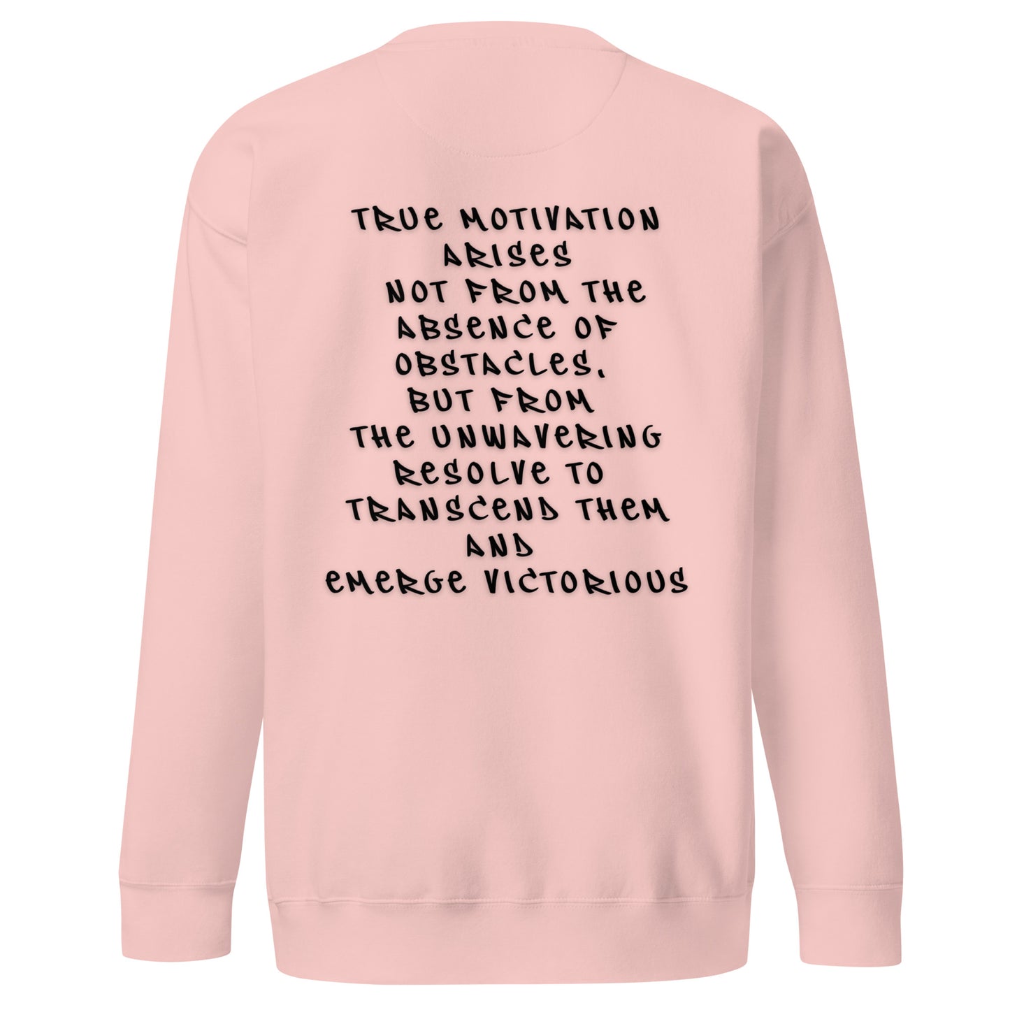 P.T.L.B Motivation Stylish Sweatshirt